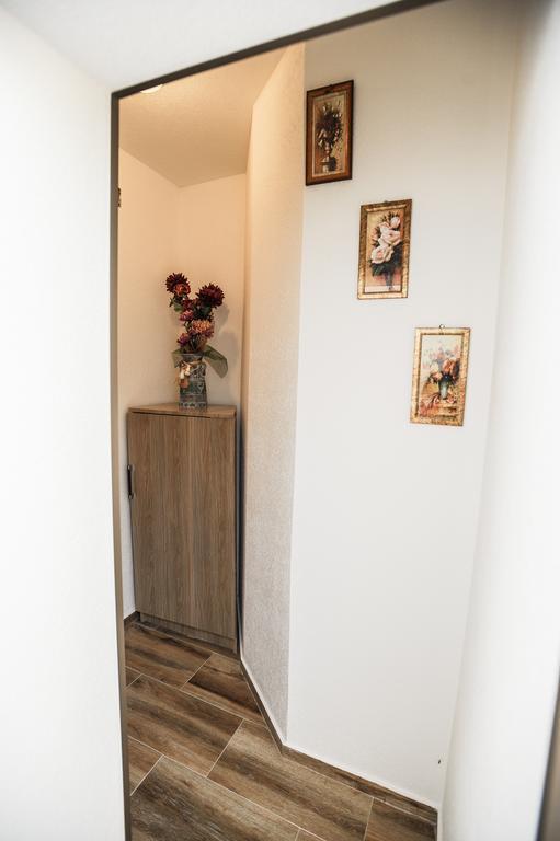 Apartment Phoenix Ivanica